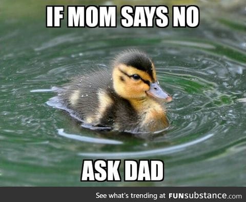 As a child this was definitely the case