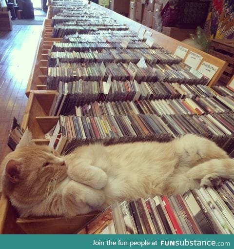 Lazy record store employee