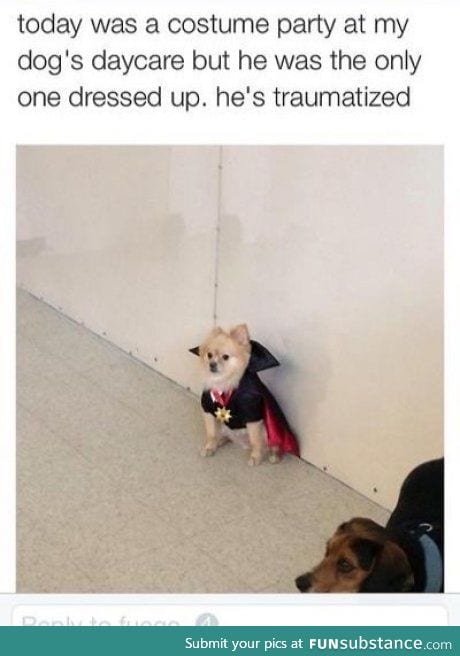 His eyes say it all