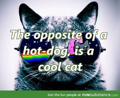 The opposite of hot dog