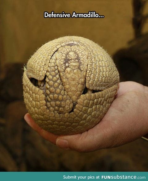 Amazingly round shape