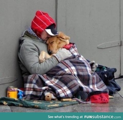 Mans best friend