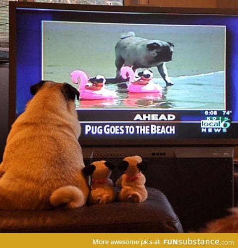 It's Always Nice To See Yourself On TV