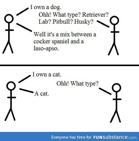 There is only cat.