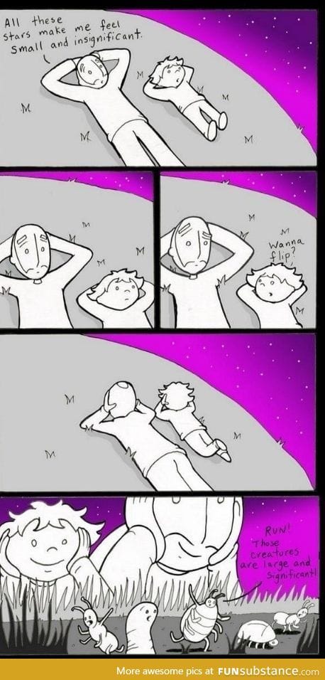 Perspective