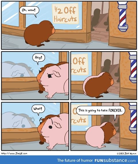 1/2 off haircuts