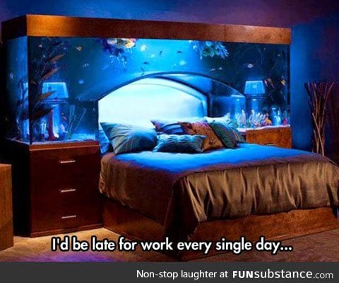 If only I had this bed
