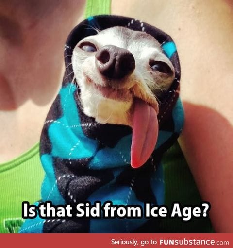 Sid from ice age