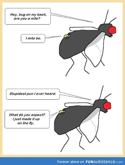 This joke bugs me