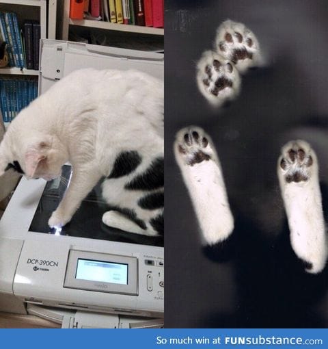 Cat scan