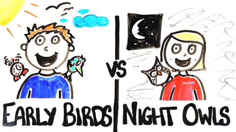 Early Birds vs Night Owls: Who Are More Successful?