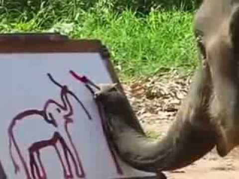 Elephant draws self portrait... seriously.