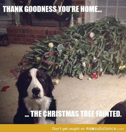The tree fainted