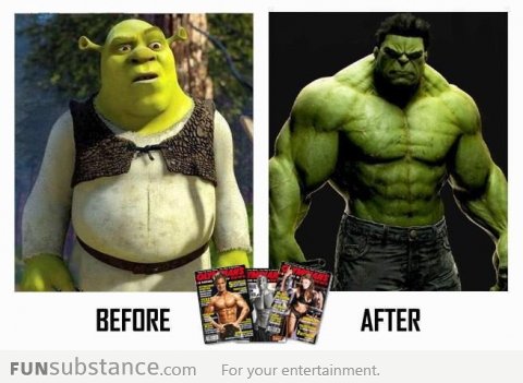 Shrek before and after