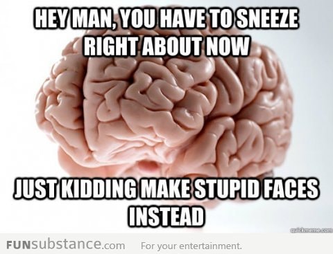 Scumbag brain