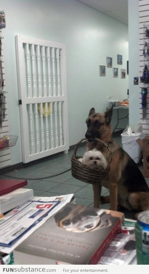 Carrying his little buddy
