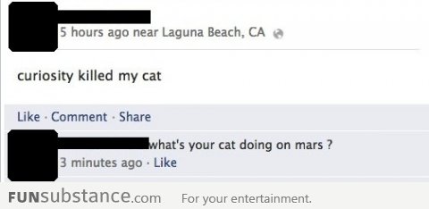 Curiosity killed his cat