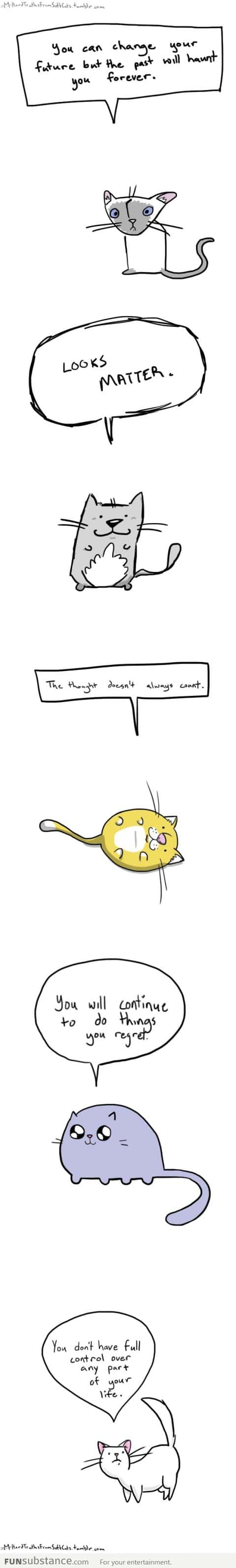 More Hard Truths From Soft Cats