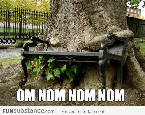 Om Nom Nom Nom