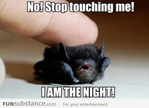 I AM THE NIGHT!!!