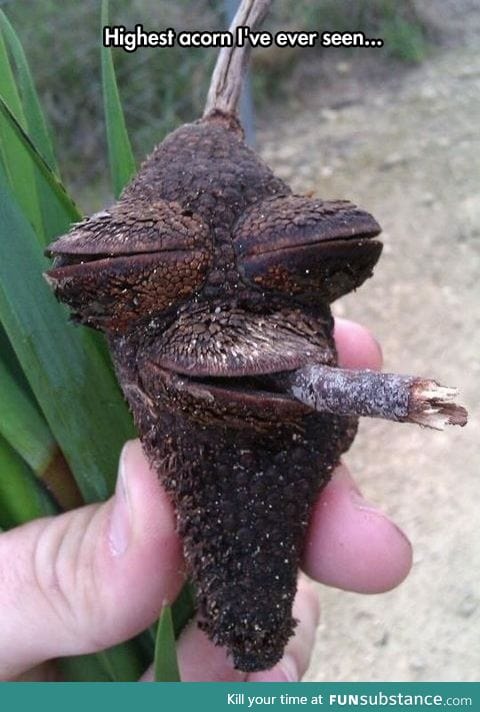 That is nuts