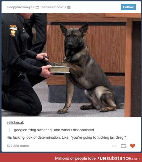 Police dog ready to take on crime