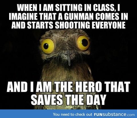 We all have the hero dream