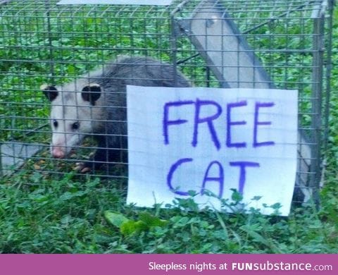 Seems legit