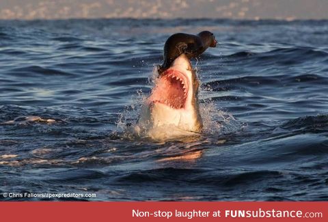 When I'm desperately trying to breathe through my nose with severe sinus congestion