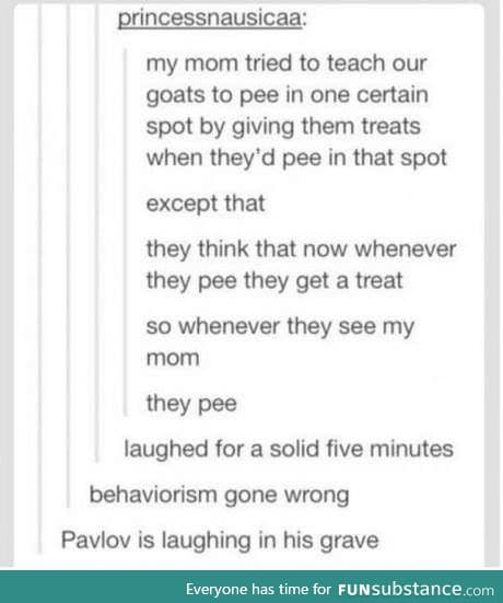 Behaviorism gone wrong