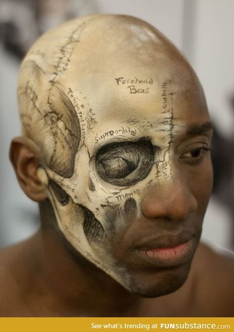 Anatomical make up