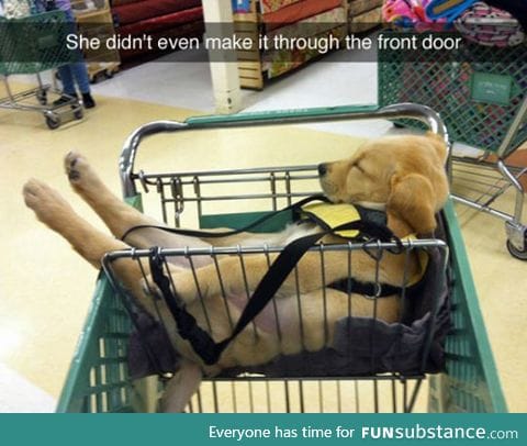 Wake Me Up When You're Done Shopping