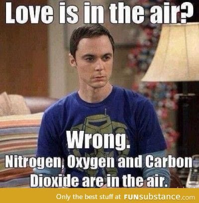 Love Is In The Air!?