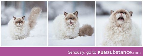 The Horror of... SNOW!
