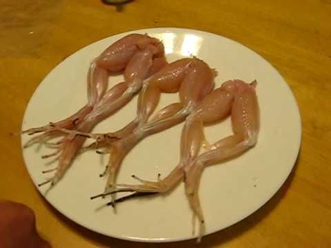 Frog legs dance after a little salt is sprinkled on them