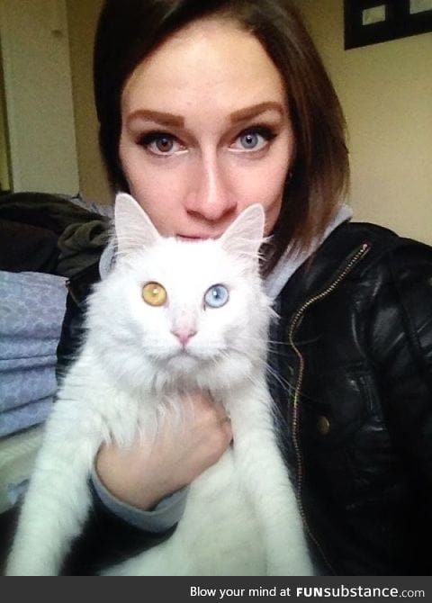Heterochromia iridum, one color to each eye