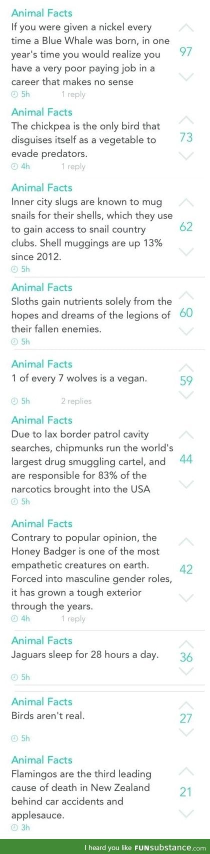 Animal facts