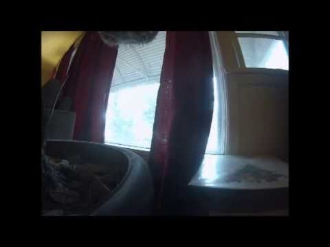 Owner leaves Go Pro on his dog to see what he does when he leaves