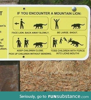 Helpful survival tips!