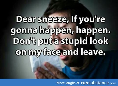 Letter to my sneeze