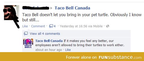 Taco bell's policy on turtles