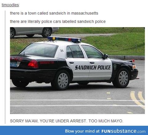 Sandwich police