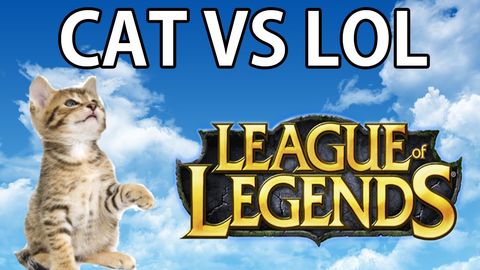 Playing video games is so tricky with your cat around