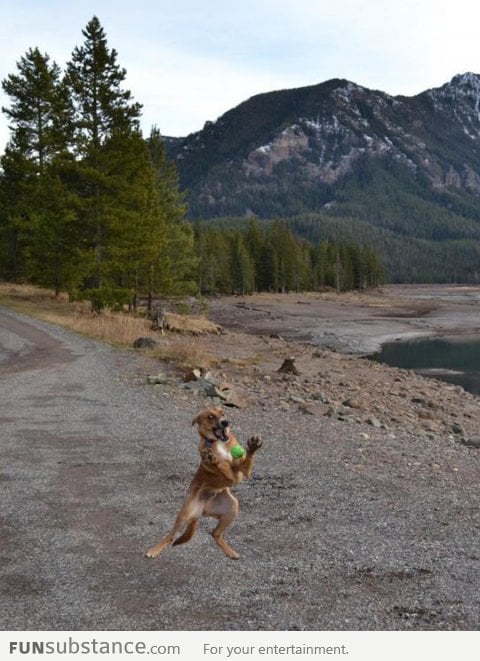 I freaking love this ball!