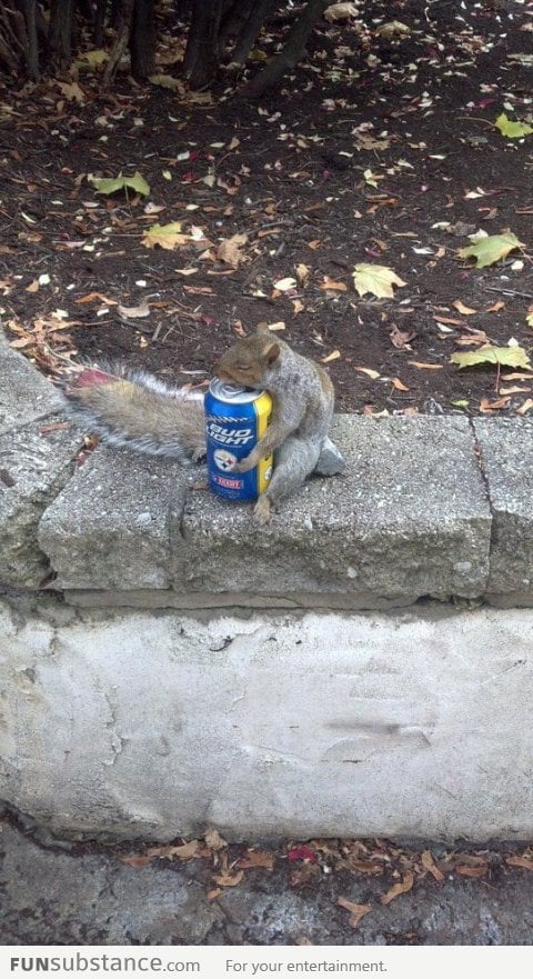 On my way to class when suddenly