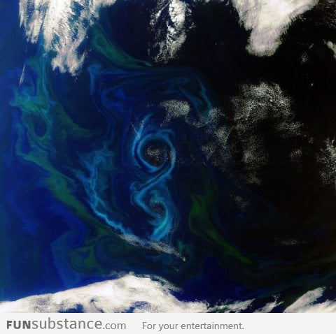 View of a phytoplankton bloom in the ocean, seen from space