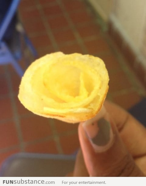 Found this "rose" in a bag of Lay's potato chips