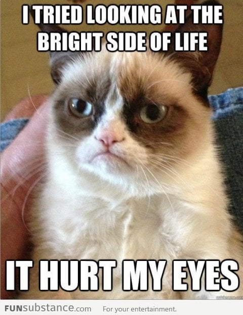 Grumpy Cat strikes again