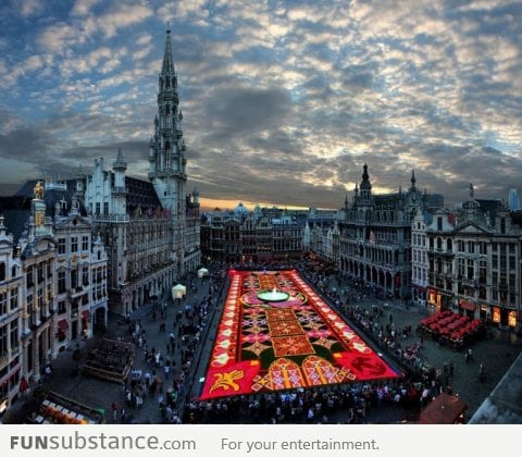 Largest carpet of flowers in the world Brussels, Belgium