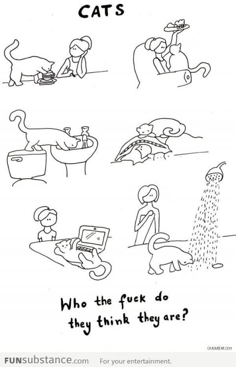 People who have cats can relate to this